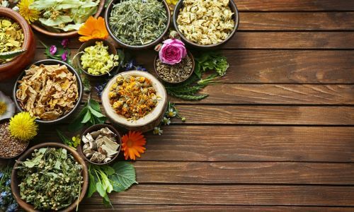 Fitoterapia terapie delle piante medicinali