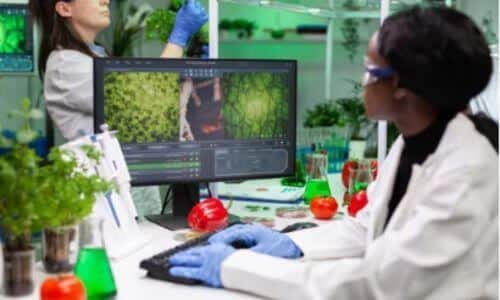 Identificazione delle piante medicinali utilizzate in erboristeria